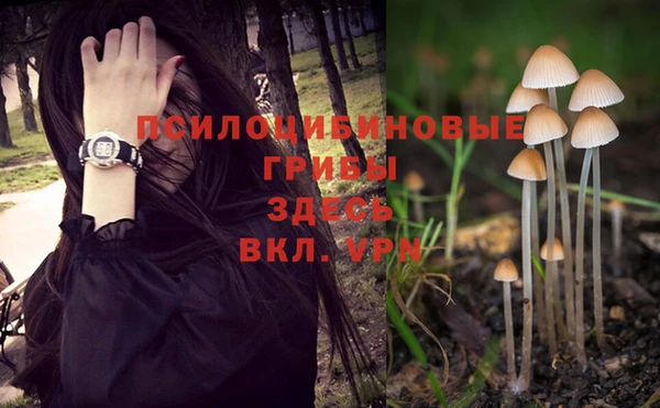 мдпв Россошь